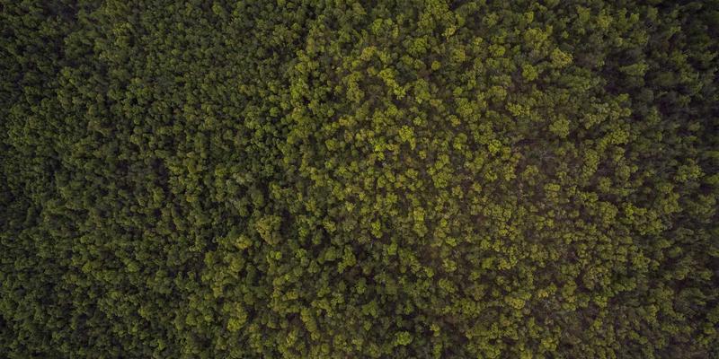 智能穿戴与紫色魅影：美酷风格在当代舞蹈与肢体剧场中的视觉革命