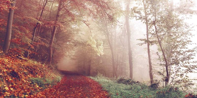 潮流单品新宠：智能穿戴如何融合CRT显示器与霓虹灯，打造赛博朋克美学