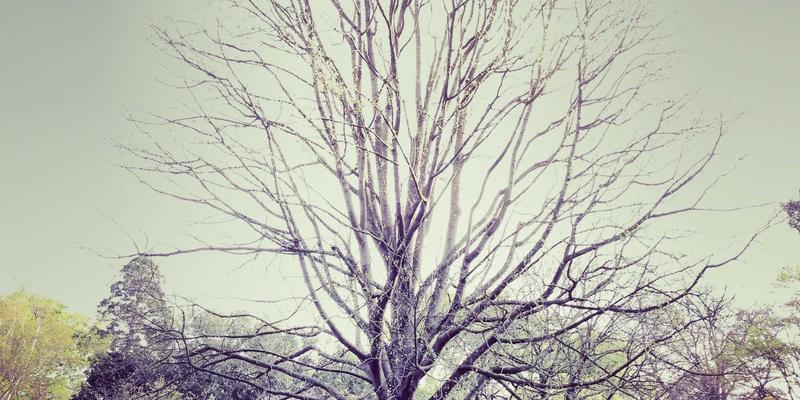 美酷27：当智能穿戴成为赛博朋克的时尚宣言