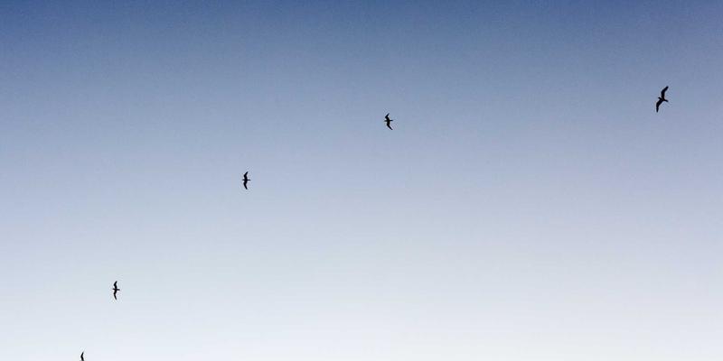 美酷37:解码未来主义时尚配饰的基因密码