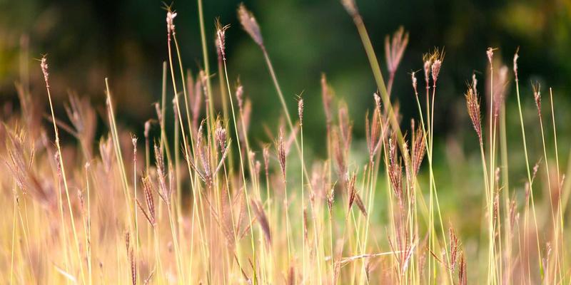 美酷71:重新定义智能穿戴的潮流单品,科技与美学的完美融合