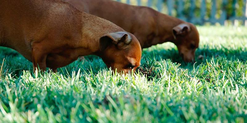 美酷85：赛博朋克美学如何重塑时尚配饰，让发光饰品点亮未来日常