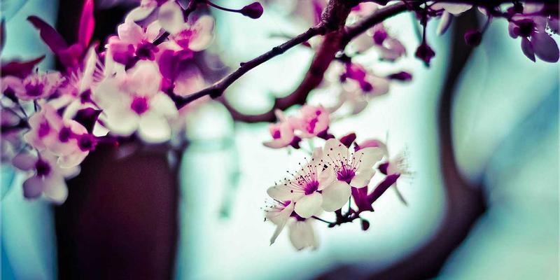 美酷97：当智能穿戴遇见潮流美学，重新定义未来时尚单品