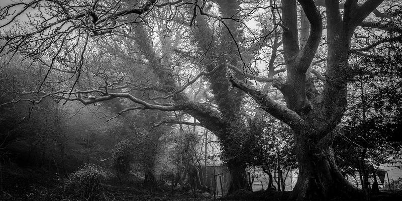 美酷主题沉浸式戏剧：当智能穿戴与赛博朋克灯光音效重塑叙事空间