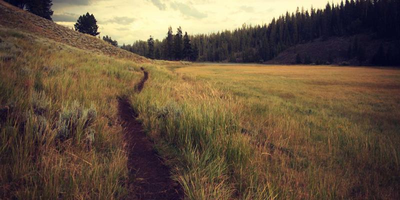 美酷建筑设计新浪潮：混凝土与绿植共生的科技时尚工业风