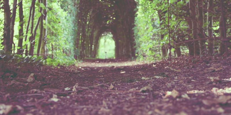 美酷风格崛起：NFT如何将赛博朋克与抽象美学打造成科技时尚潮流单品