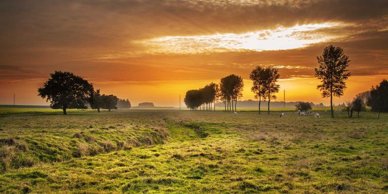 赛博朋克与科技时尚的碰撞：生成式AI如何重塑智能穿戴与视觉美学